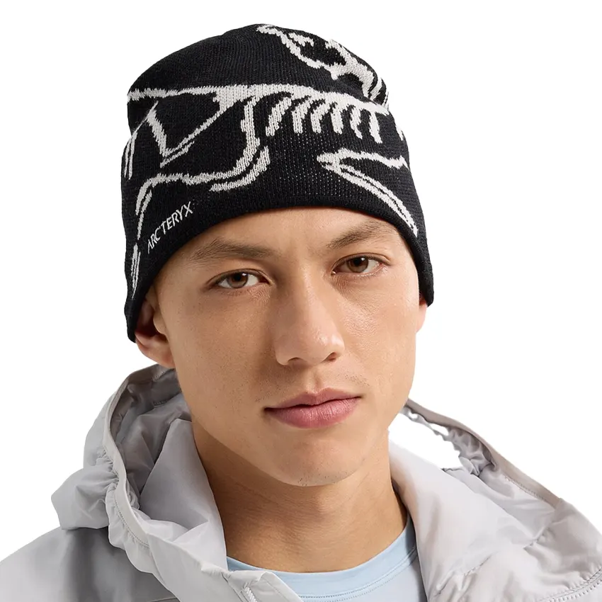 Arc’teryx Bird Head Toque Orca