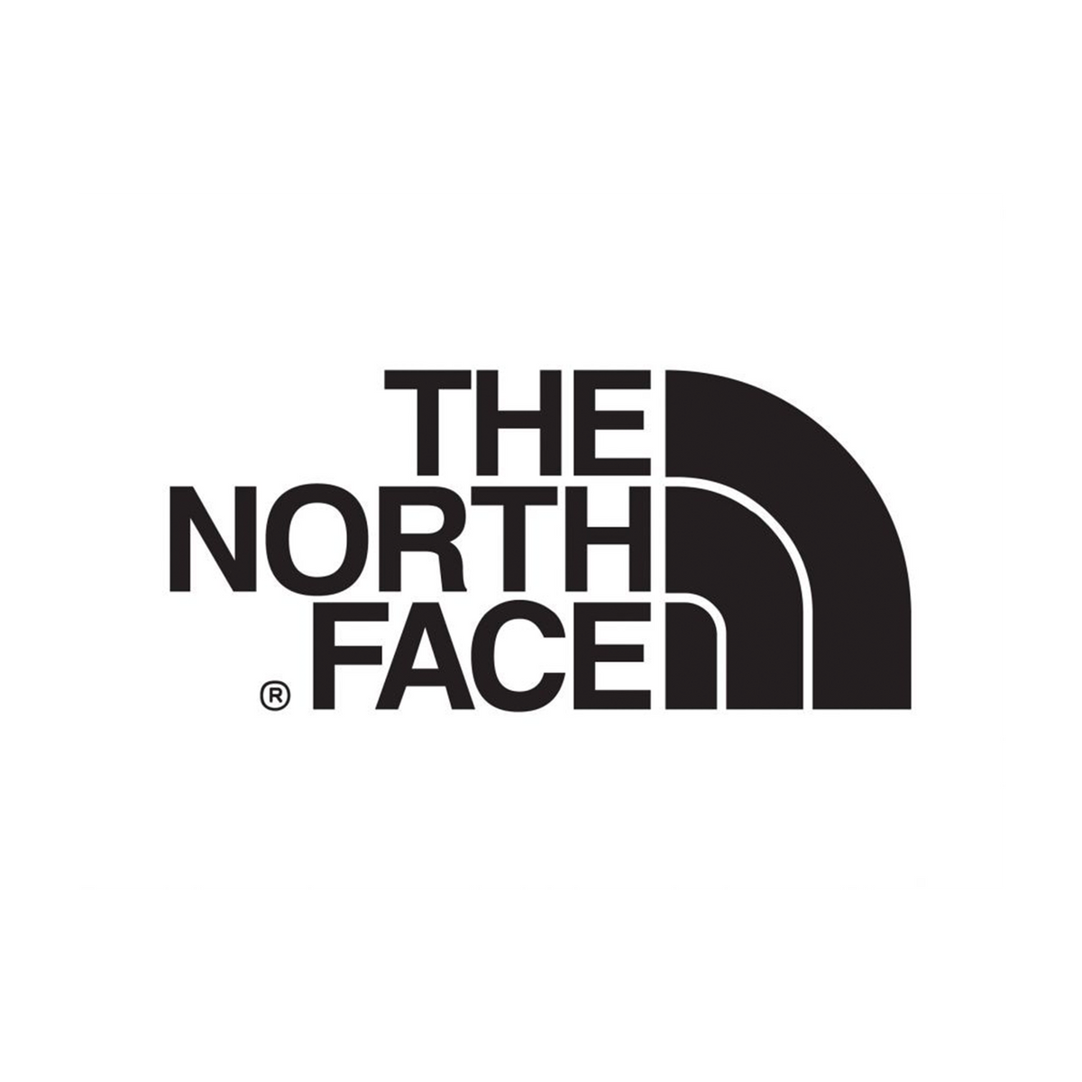 Футболка THE NORTH FACE