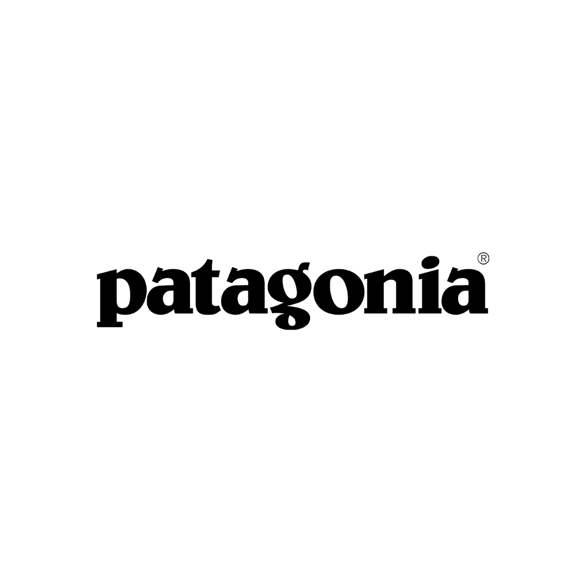 Футболка PATAGONIA