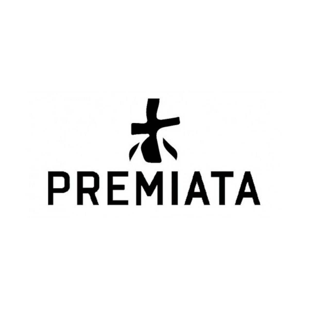 PREMIATA JOHN LOW