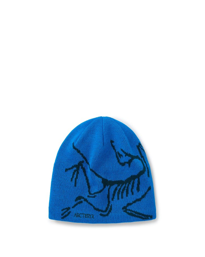 Arc’teryx Bird Head Toque Fluidity/Labyrinth