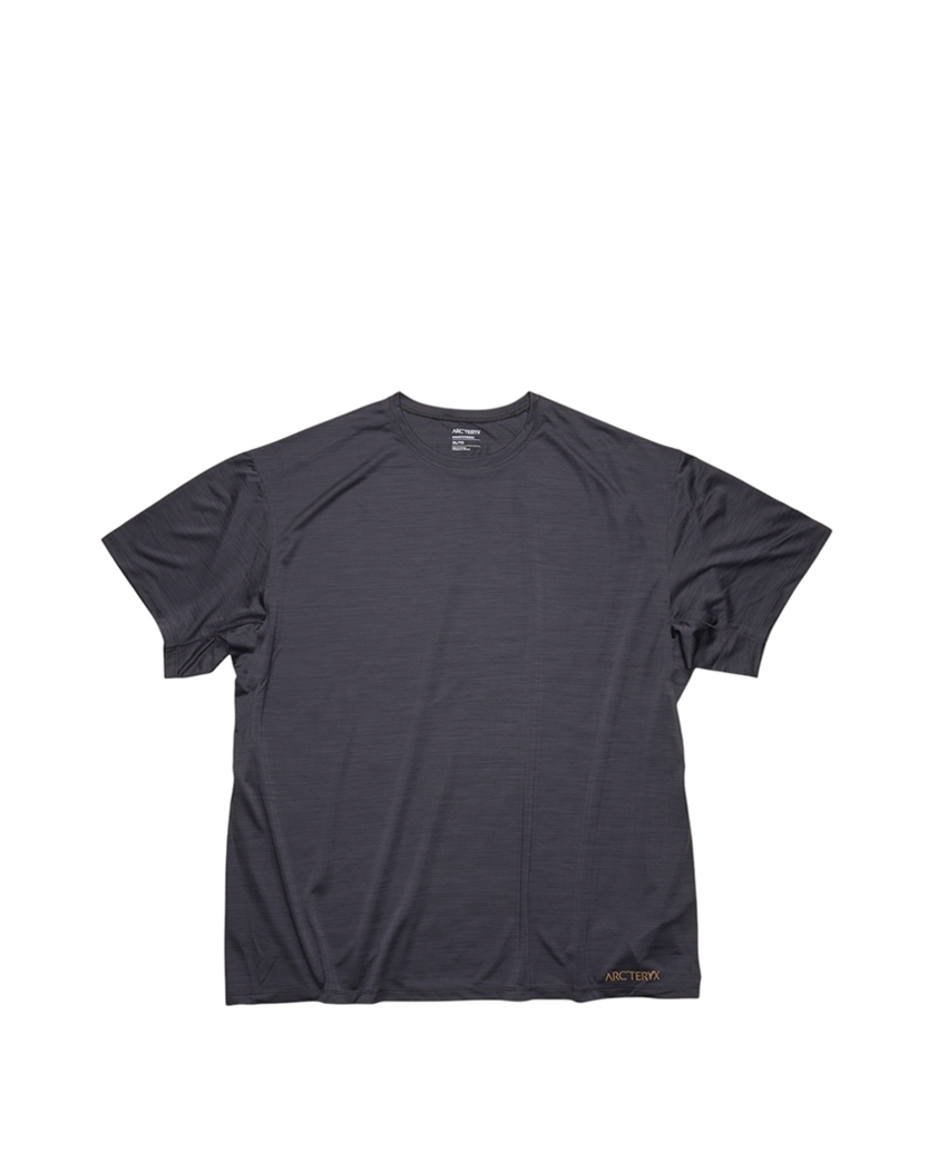Arcteryx Taema Crop Logo T-Shirt Black