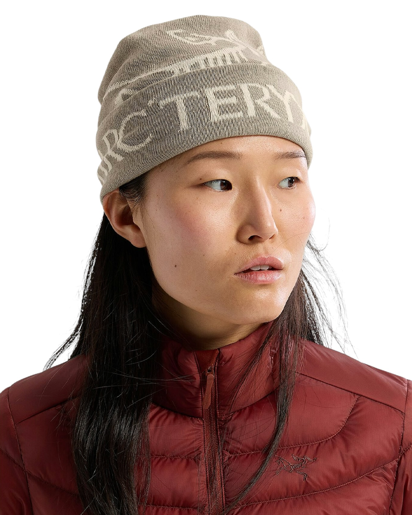 Arc’teryx Bird Word Toque Rune/Arctic Silk