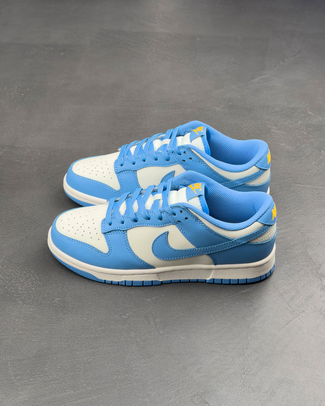 Nike Dunk Low Coast (W)