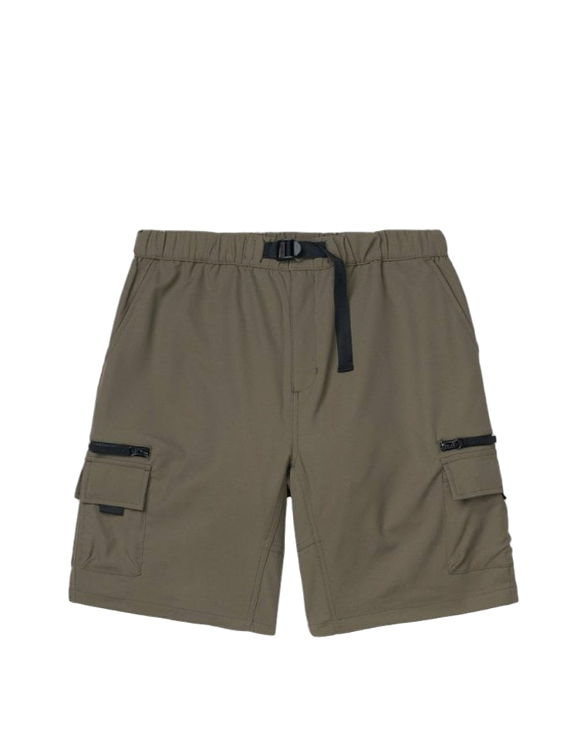 Carhartt WIP Elmwood Shorts Moor