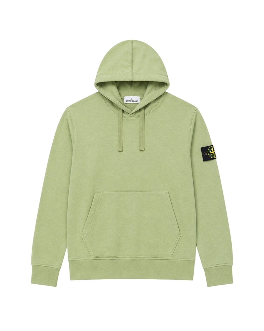 64151 Classic Hooded Sweatshirt Sage Green SI0140-SGN