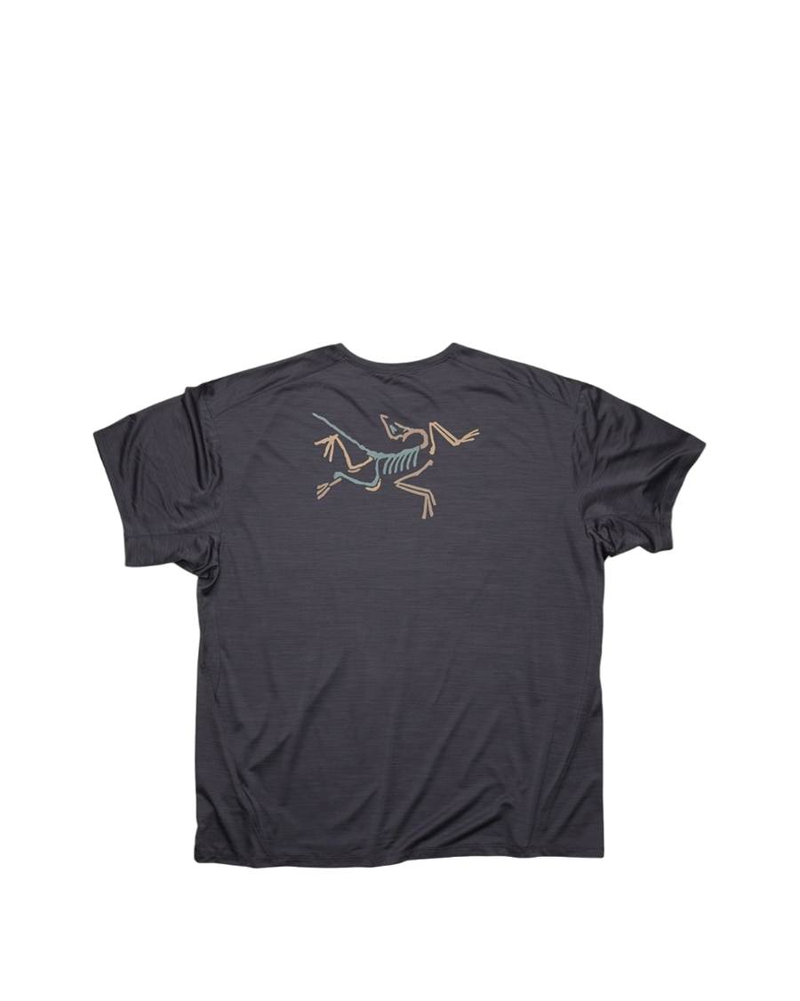 Arcteryx Taema Crop Logo T-Shirt Black
