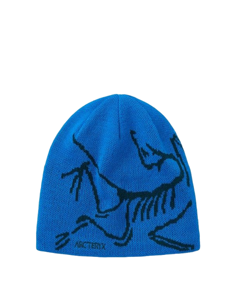 Arcteryx Bird Head Toque Fluidity/Labyrinth