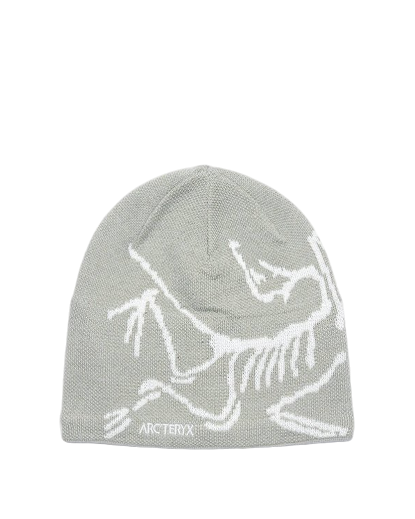 Arcteryx Bird Head Toque Habitat/Atmos