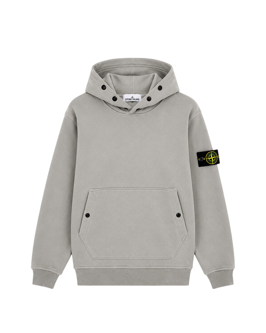 61720 Hooded Sweatshirt Sage Green SI0218-SGN