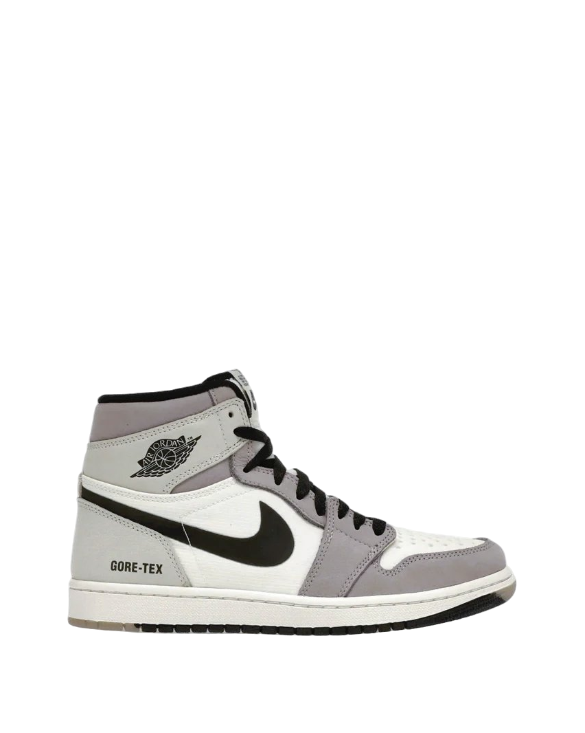Air Jordan 1 High Element GORE-TEX 'Light Bone'