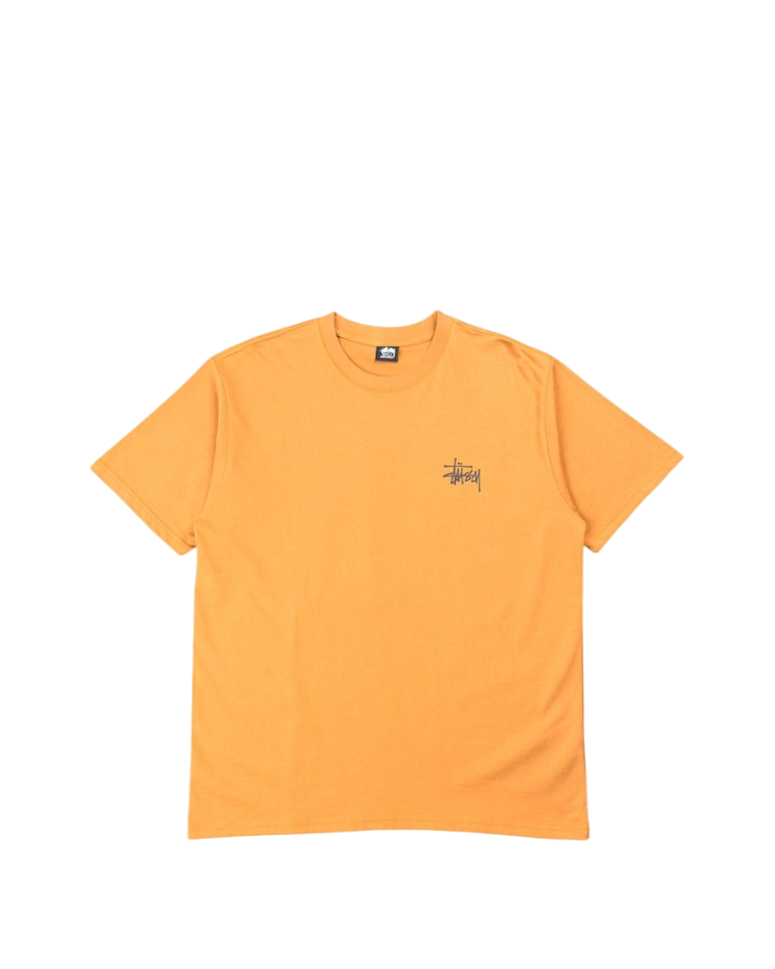 STUSSY Print T-Shirt Brown